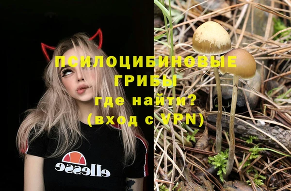 ешки Михайловка